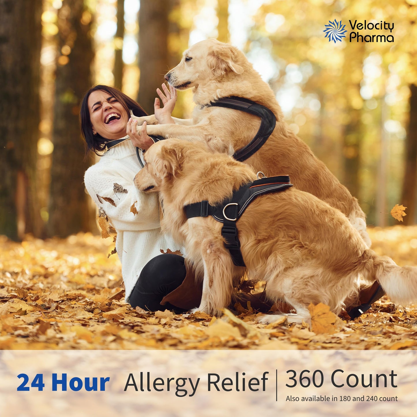 Velocity Pharma Levocetirizine Dihydrochloride 5mg USP Tablets, 24 Hour Allergy Relief Non-Drowsy Antihistamine, 360 Count Velocity Pharma buy supplements Au