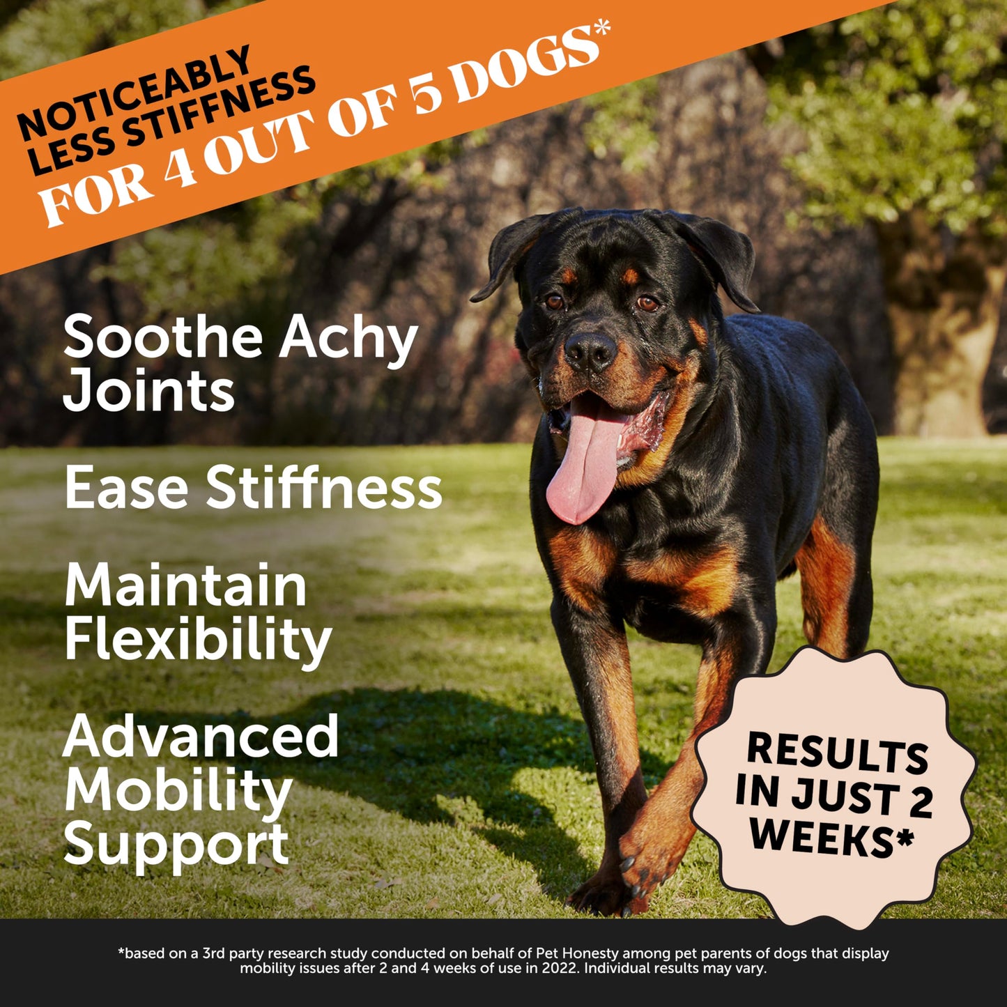 Pet Honesty Hip & Joint Health Max Strength – Dog Joint Support Chews with Glucosamine Chondroitin & Omega-3s – Joint Supplement for Dogs to Support Mobility, Flexibility & Comfort – Bacon (90 ct) Pet HonestyBuy Supplements Australia