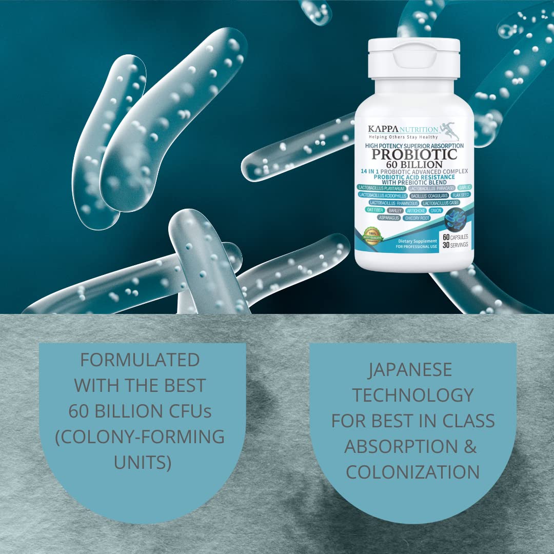 KAPPA NUTRITION Probiotic 60 Billion CFU 14 in 1 Formula with Prebiotics & Acidophilus for Women, Men & Adults, Shelf Stable, Acid Resistant, Natural Supplement 60 Capsules. KAPPA NUTRITIONBuy Supplements Australia