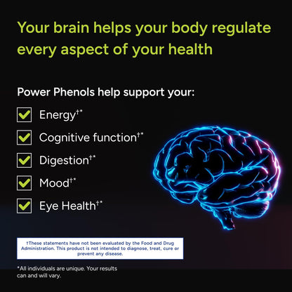Gundry MD Power Phenols Brain Health Supplement for Cognition, Focus, Motivation, Productivity, and Energy - (30 Servings) Gundry MDBuy Supplements Australia