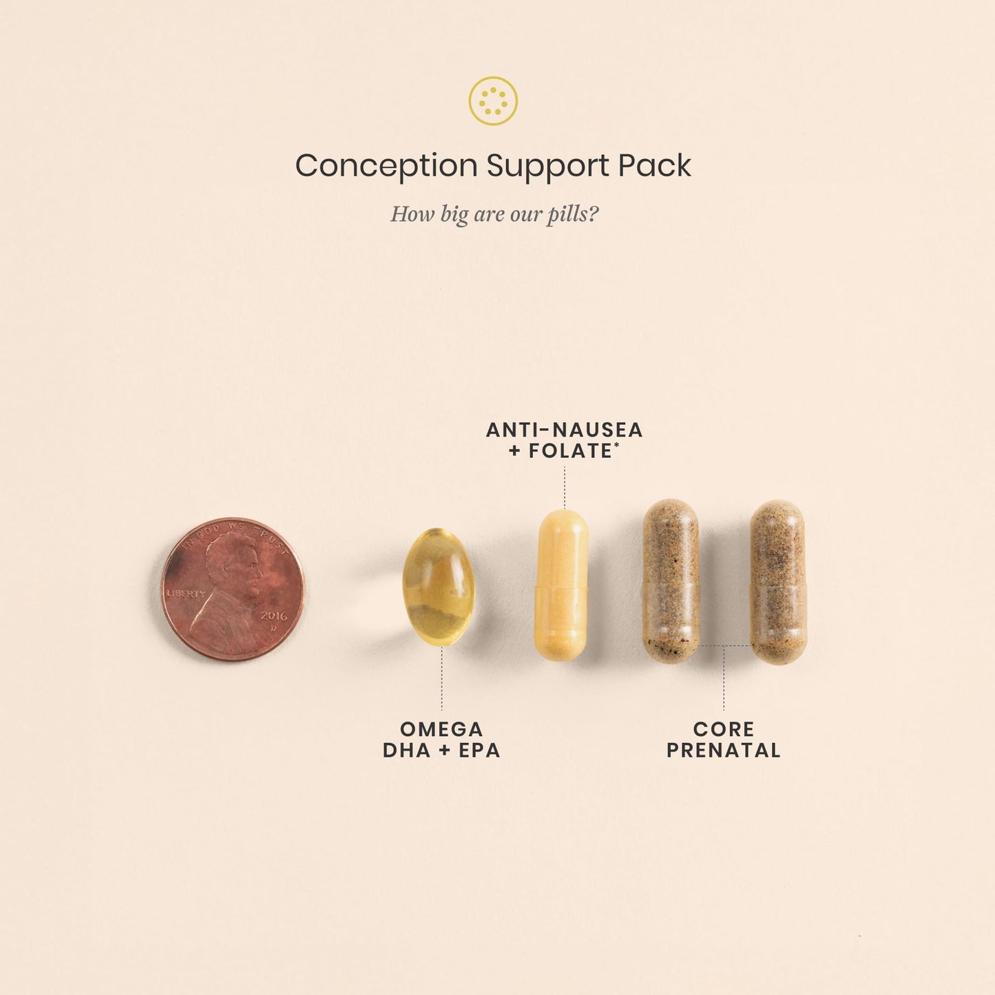 Perelel Conception Support Pack, Prenatal Multivitamin with DHA Omega 3, COQ10 & Folate, Supports Fertility Wellness for Women