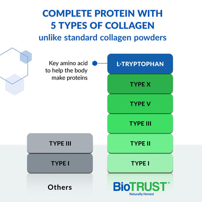 BioTrust Ageless Multi Collagen Peptides Powder – 5 Types (I, II, III, V, X) – Chocolate Collagen Powder for Women & Men – Hydrolyzed Protein – Grass Fed Beef, Fish, Chicken, Eggshell Membrane BioTrust buy supplements Au