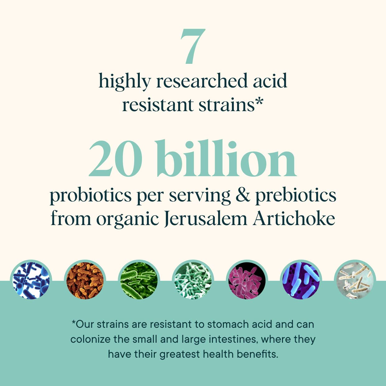 Ora Organic Prebiotic and Probiotic Powder Supplement - 20 Billion Probiotics, 7 Strains for Best Prebiotic Powder, Non-GMO, Probiotics for Women, Men & Kids - Lavender Lemonade Flavor, 30 Servings Ora Organic buy supplements Au