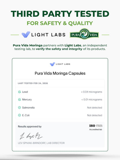 PURA VIDA MORINGA Leaf Extract Liquid Drops - USDA Organic Certified - Highly Purified, Bioavailable & Faster Absorption than Moringa Powder or Capsules