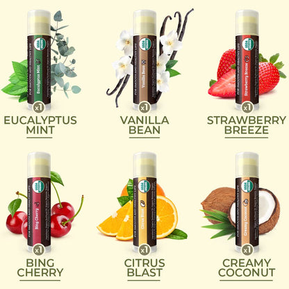 Earth's Daughter USDA Organic Lip Balm 6-Pack - Fruit Flavors, Beeswax, Coconut Oil, Vitamin E - Best Lip Repair