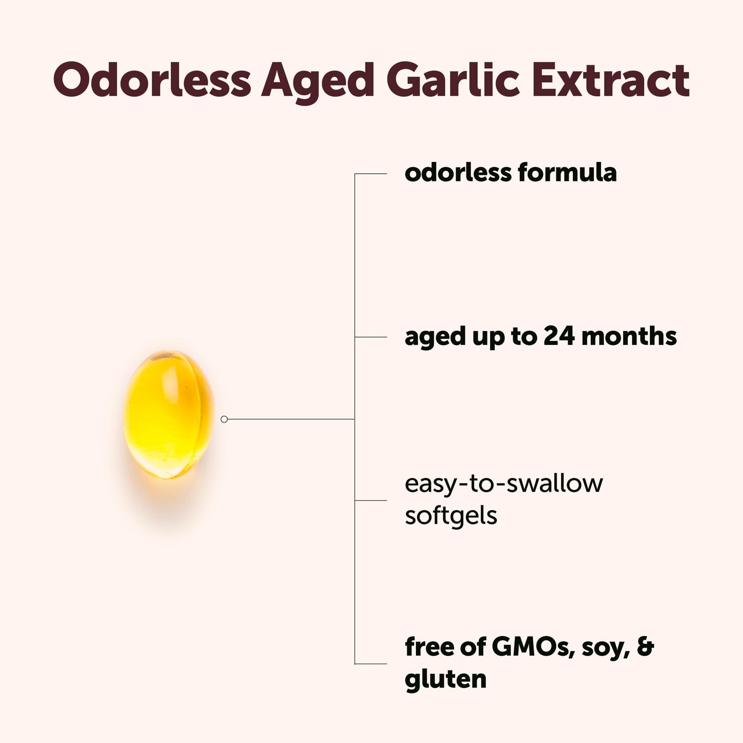 Micro Ingredients Odorless Garlic, 300 Softgels | 2 Years Aged Garlic Extract | Grown Allium Sativum Bulb