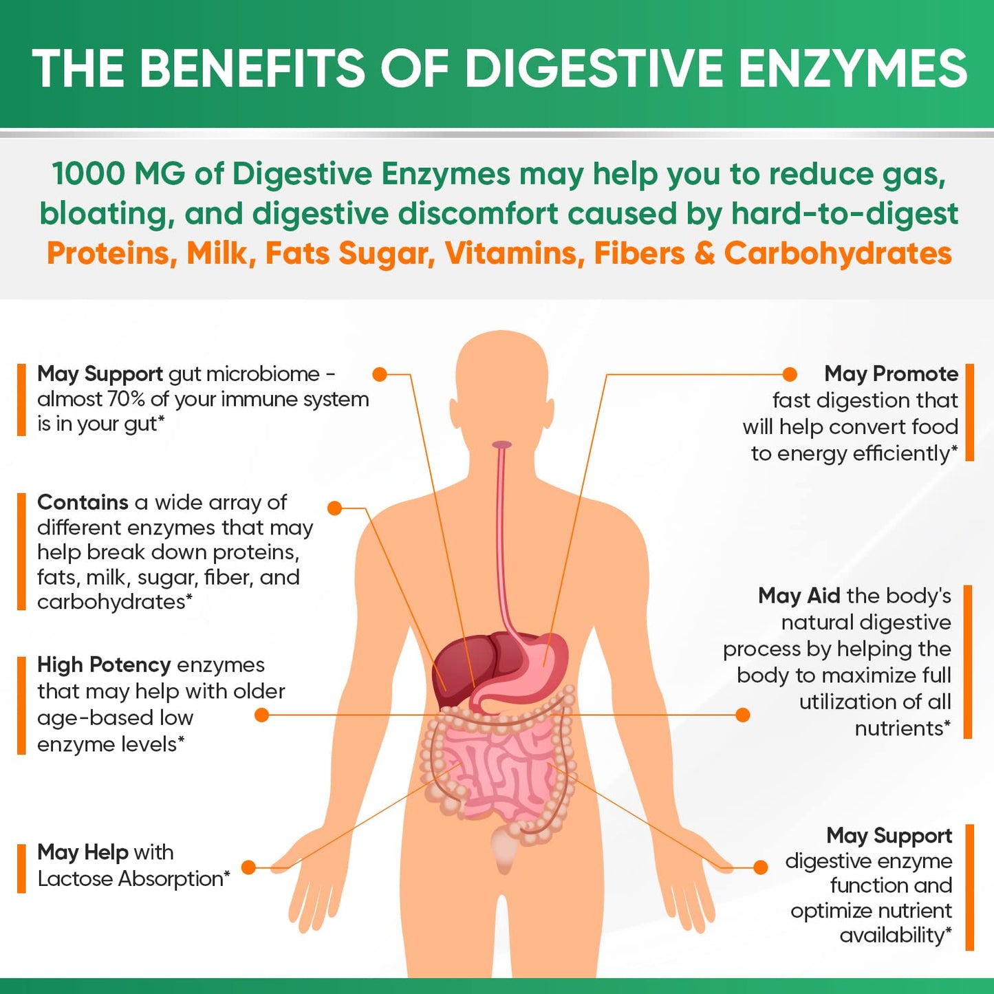 Wholesome Wellness Digestive Enzymes 1000MG Plus Prebiotics & Probiotics Supplement, 180 Capsules, Organic Plant-Based Vegan Formula for Digestion