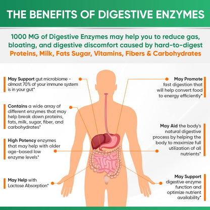 Wholesome Wellness Digestive Enzymes 1000MG Plus Prebiotics & Probiotics Supplement, 180 Capsules, Organic Plant-Based Vegan Formula for Digestion