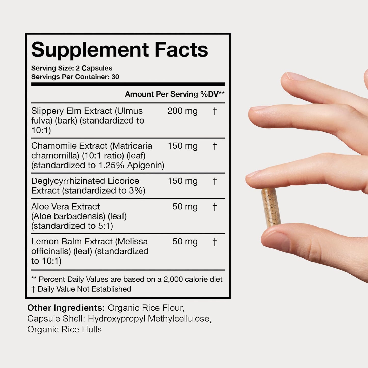 Terra Health Essentials Acid Relief - Plant Based Digestive Support Supplement for Comfortable Gut Function - Lemon Balm, Slippery Elm, Aloe Vera, DGL Licorice - 60 Capsules Terra Health Essentials buy supplements Au