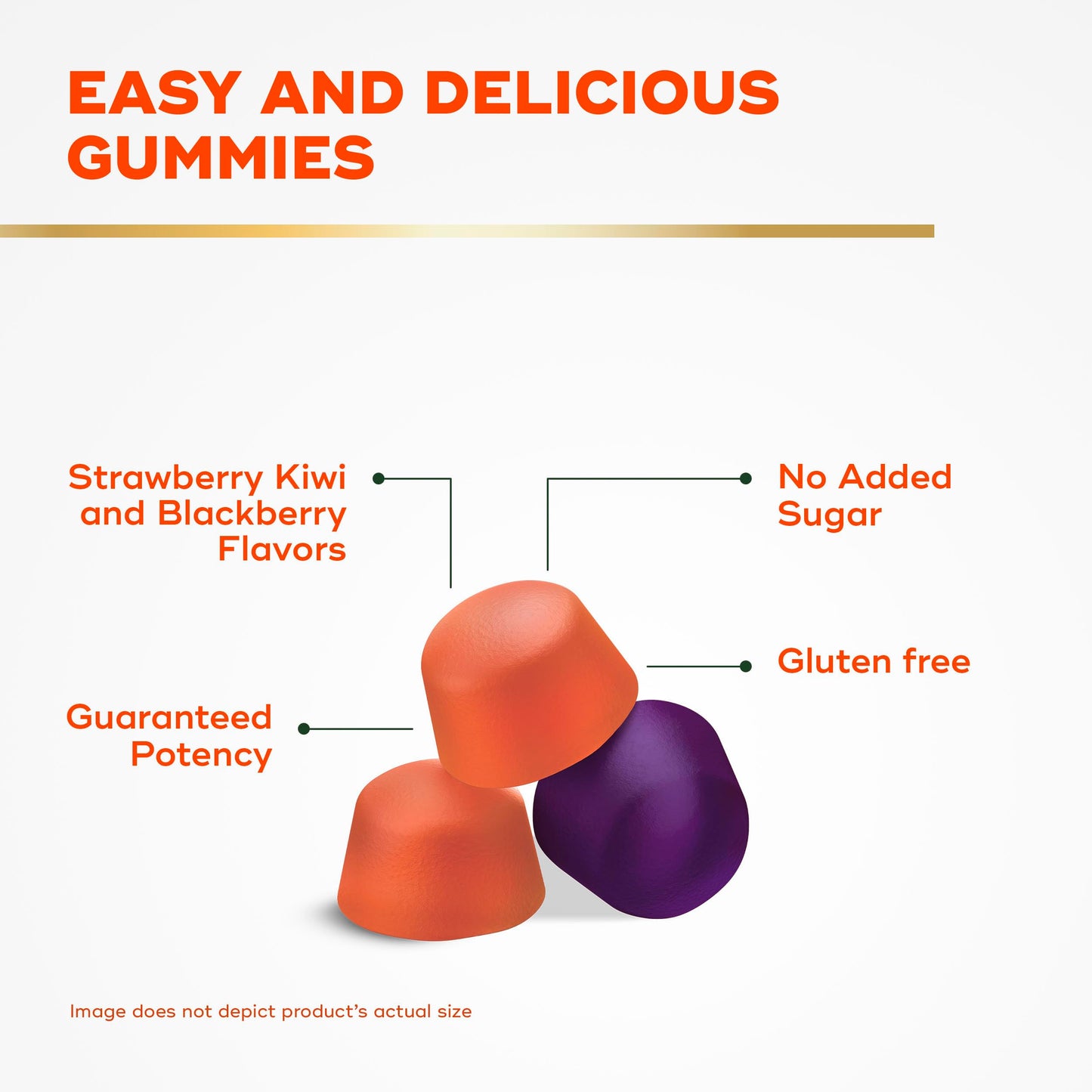 Align Probiotic, Probiotics + Fiber Gummies, Probiotics Help Relieve Occasional Bloating*, Fiber Helps Support a Healthy Digestive System