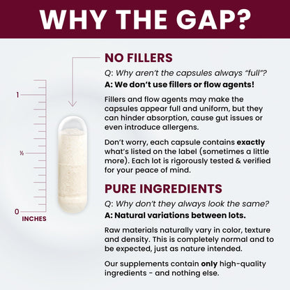 Saccharomyces Boulardii Probiotics 10 Billion CFU Made in USA | No Fillers Patented Strain: Lynside CNCM I-3799 Probiotics for Men and Women