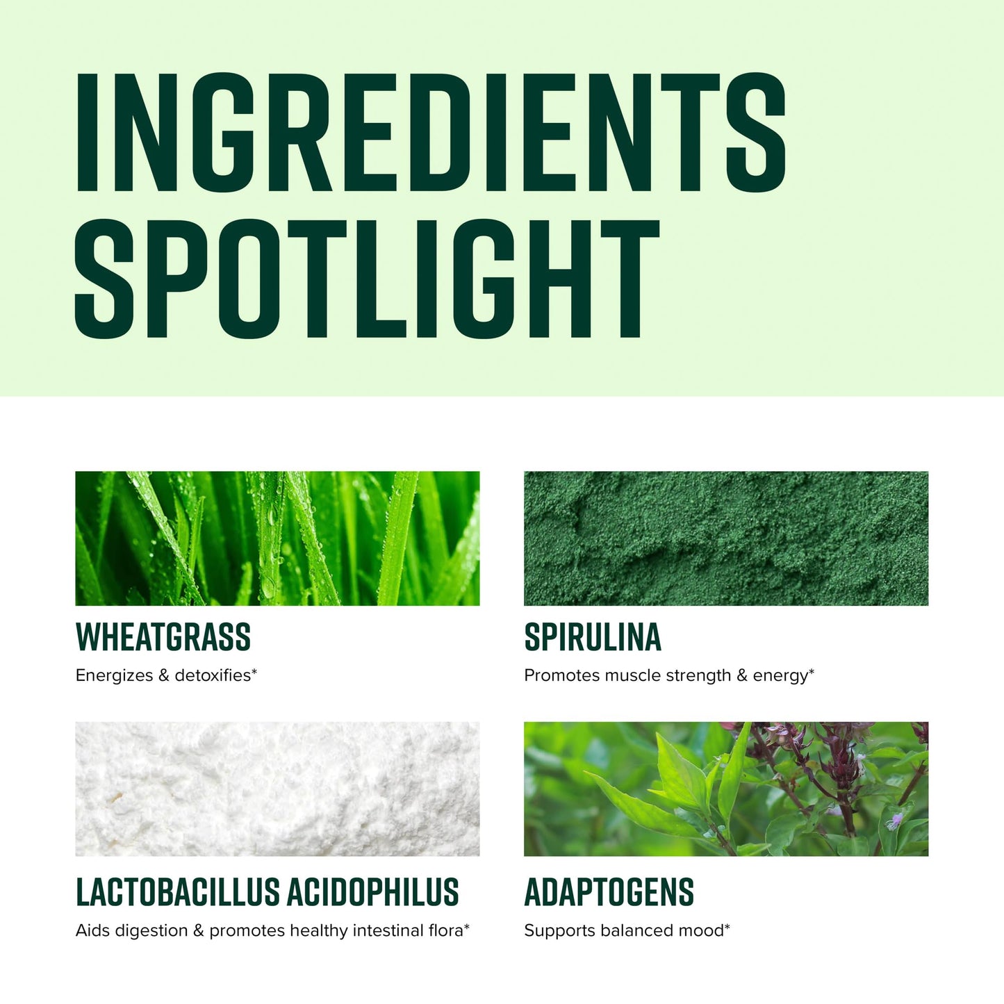 Vibrant Health, Green Vibrance, Vegan Superfood Powder, 15 Servings Vibrant HealthBuy Supplements Australia