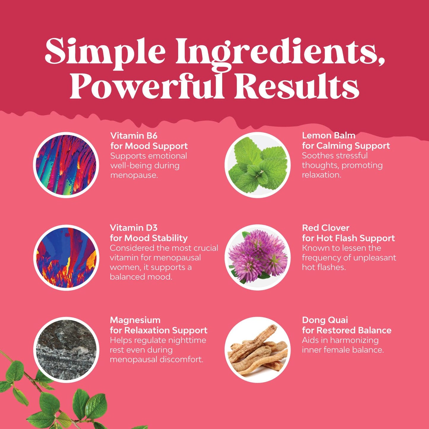 Natures Craft Complete Herbal Menopause Supplement for Women - Female Hormone Balance Capsules for Night Sweats Hot Flashes & Mood Swings with Dong Quai
