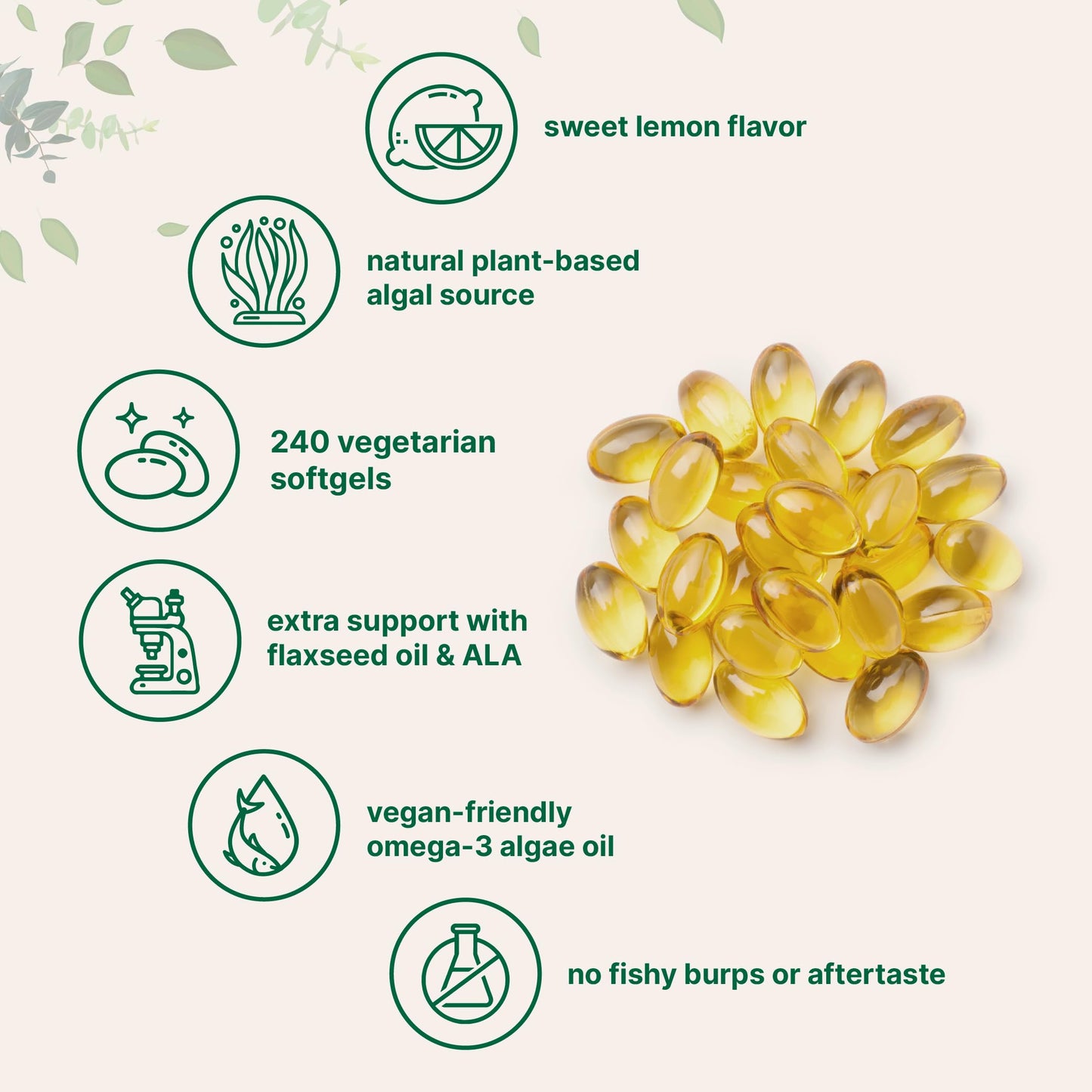 Micro Ingredients Vegan Omega 3 Algae Oil, 240 Veggie Softgels | Fish Oil Alternative | DHA 500mg & DPA 100mg | Carrageenan Free | Plant-Based Omega 3