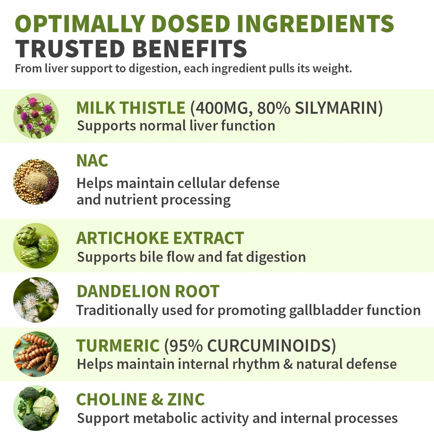 Milk Thistle Supplement w/ NAC, Artichoke & Dandelion – Liver Support Supplement & Gallbladder Supplements in One – Liver Detox – Milk Thistle