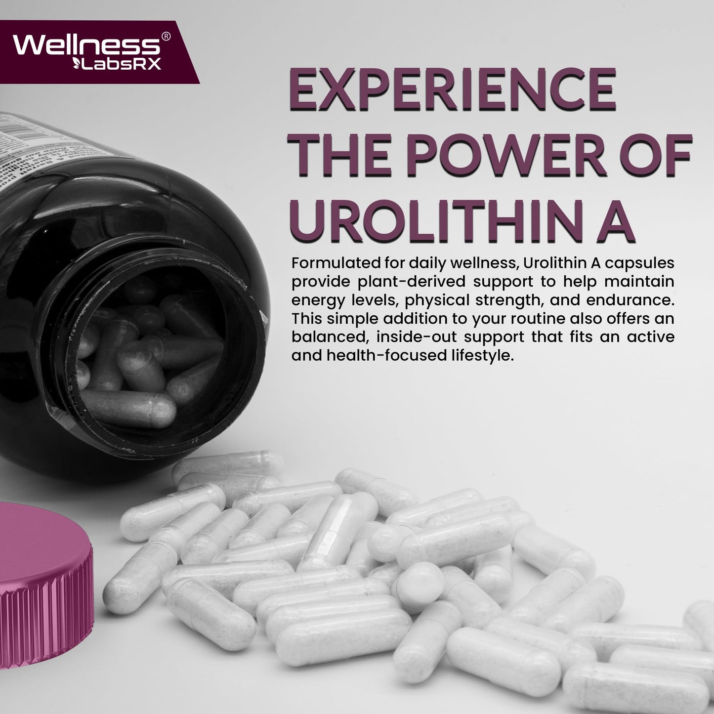 Urolithin A Supplement Capsules 1,000mg (98.9% Pure) – Advanced Urolithin A+ Formula for Cellular Renewal & Mitochondrial Support