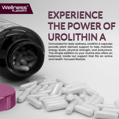 Urolithin A Supplement Capsules 1,000mg (98.9% Pure) – Advanced Urolithin A+ Formula for Cellular Renewal & Mitochondrial Support