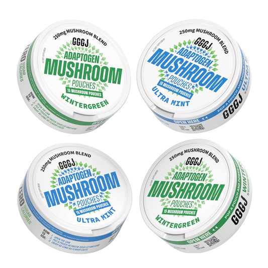Adaptogen Mushroom Nootropic Pouches (4 Pack Bundle) - 250mg Mushroom Blend + 165mg Energy Blend, Nicotine Free & Caffeine Free, Ultra Pouch with Lion's Mane, Cordyceps, Reishi, Alpha-GPC, L-Theanine GGGJBuy Supplements Australia