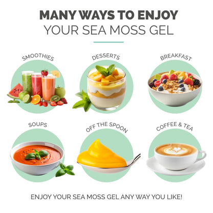 EverSmith Organics - Wildcrafted Irish Sea Moss Gel | Made in USA | Rich in Vitamins & Minerals | Sea Moss Gel Raw | Nutritional Supplement | Mango Pineapple (1 Jar) EverSmith OrganicsBuy Supplements Australia