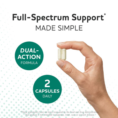 Prebiotics and Probiotics | 50 Billion CFU, 16 Probiotic Strains & Inulin Prebiotic Fiber | Delayed Release Capsules | Gut Health Support | Prebiotics and Probiotics for Women & Men | Non-GMO | 60 Ct MAV NUTRITION buy supplements Au