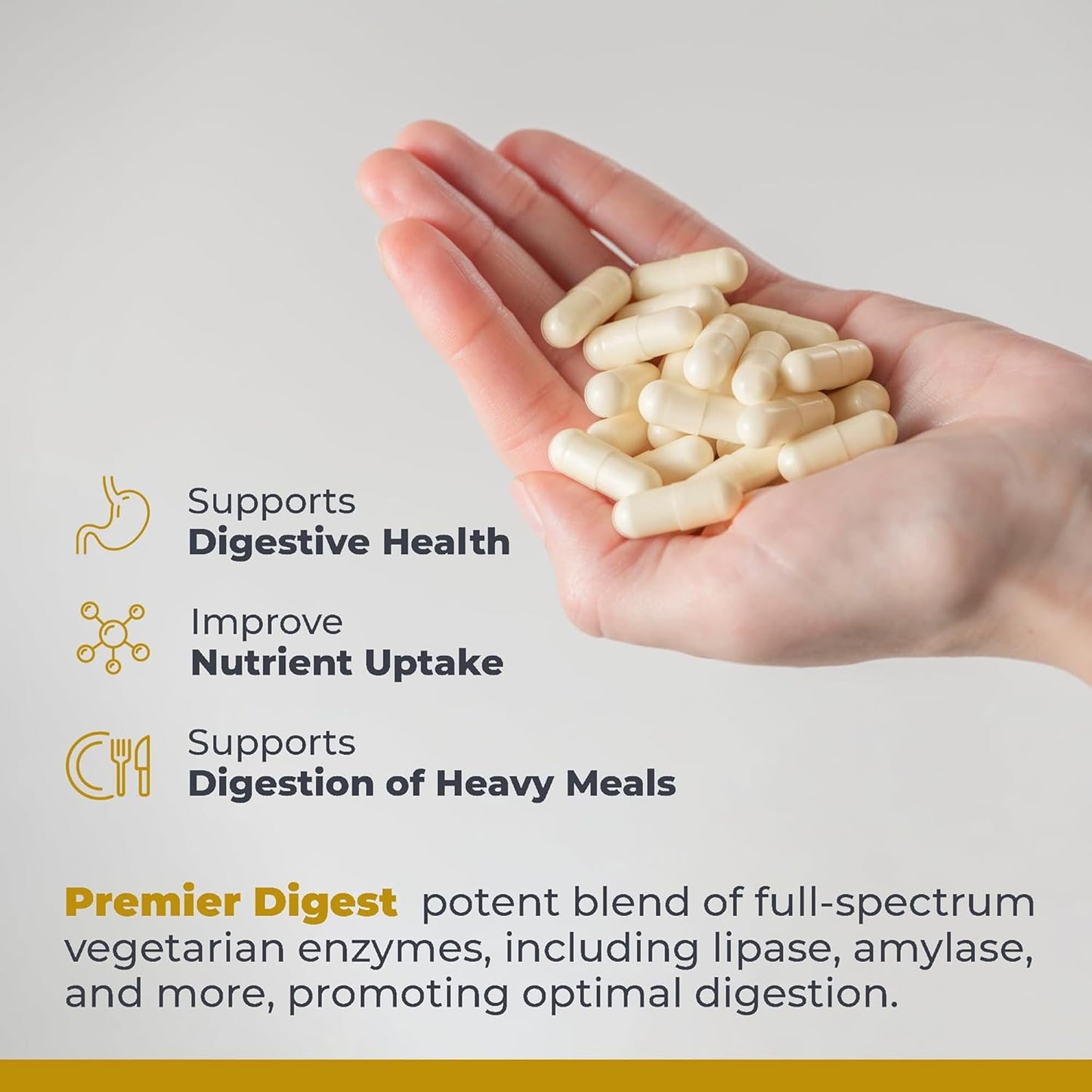 Premier Research Labs Active Digestive Enzymes with Probiotic and Prebiotics - Promotes Full-Spectrum Digestive Support - with Amylase, Protease & Lipase, 60 Plant-Sourced Capsules Premier Research LabsBuy Supplements Australia