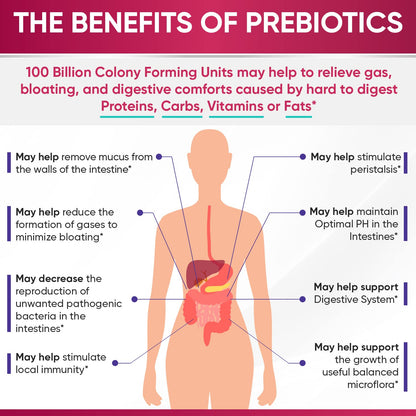 Wholesome Wellness Dr. Formulated Raw Probiotics for Women 100 Billion CFUs Capsules with Prebiotics, Digestive Enzymes