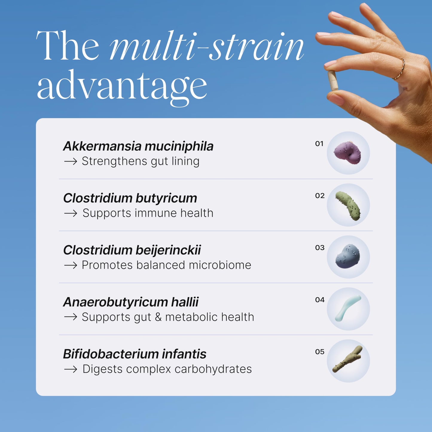 Pendulum Metabolic Daily - Multi-Strain Probiotic with Akkermansia muciniphila to Support Metabolism and Sustain Energy Levels