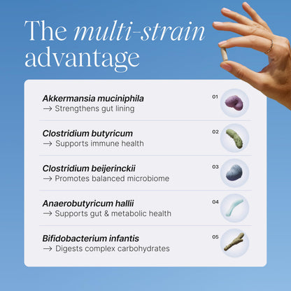 Pendulum Metabolic Daily - Multi-Strain Probiotic with Akkermansia muciniphila to Support Metabolism and Sustain Energy Levels
