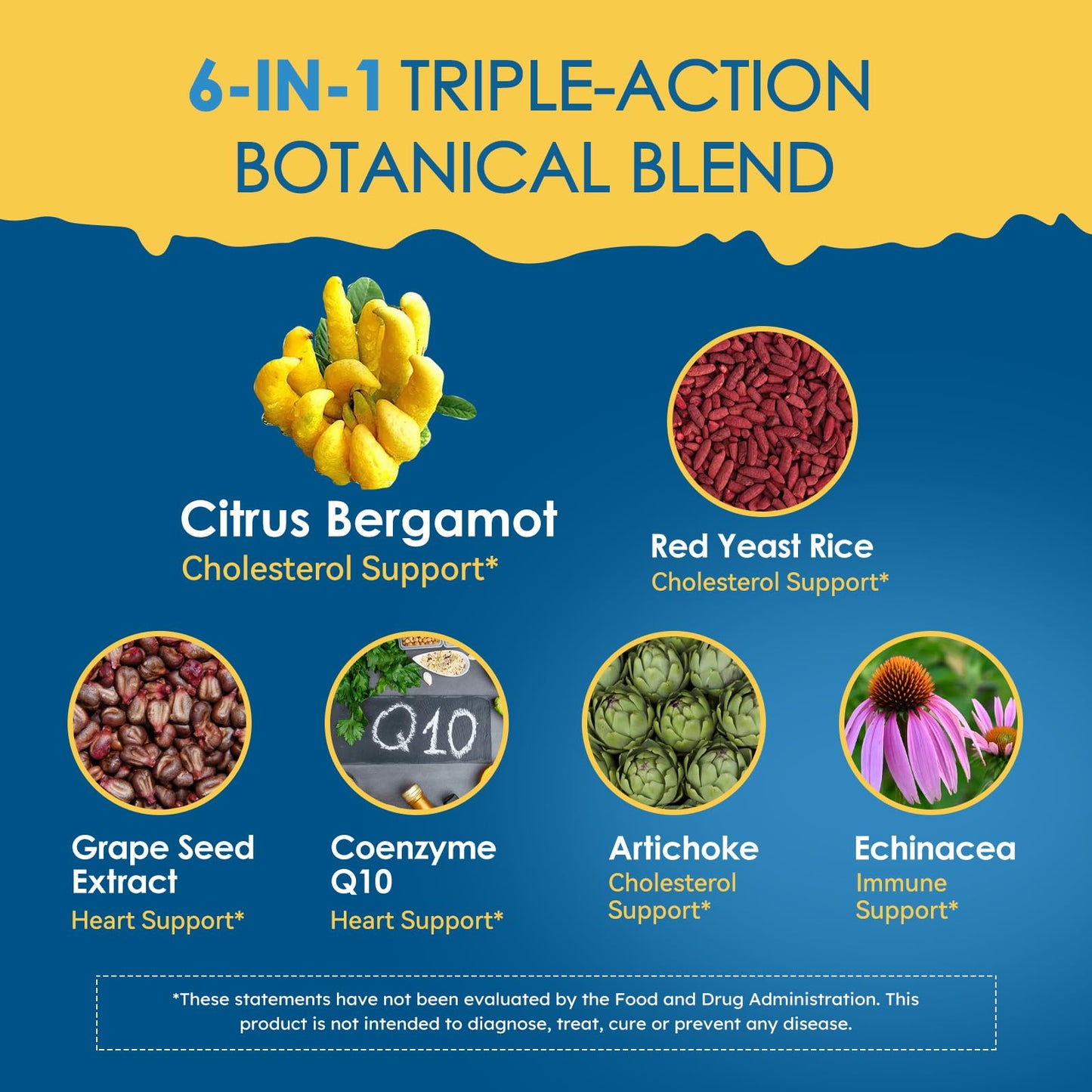 LeaforClensey Citrus Bergamot Liquid Drops for High Cholesterol, Bergamot Extract Blend Supplements with Red Yeast Rice & CoQ10 for Heart