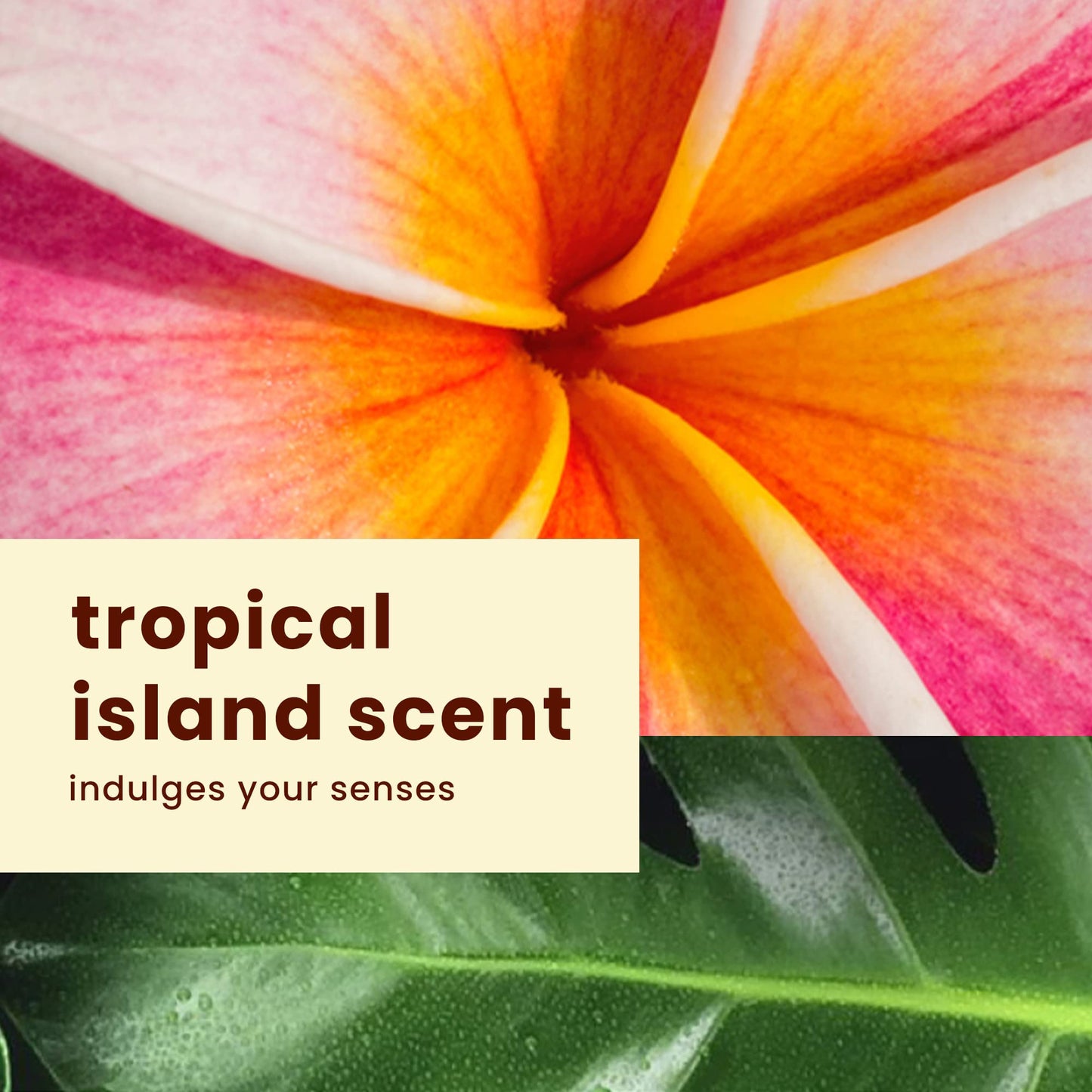 Hawaiian Tropic Everyday Active Sunscreen Lotion, SPF 50 Sunblock, 8 Fl Oz