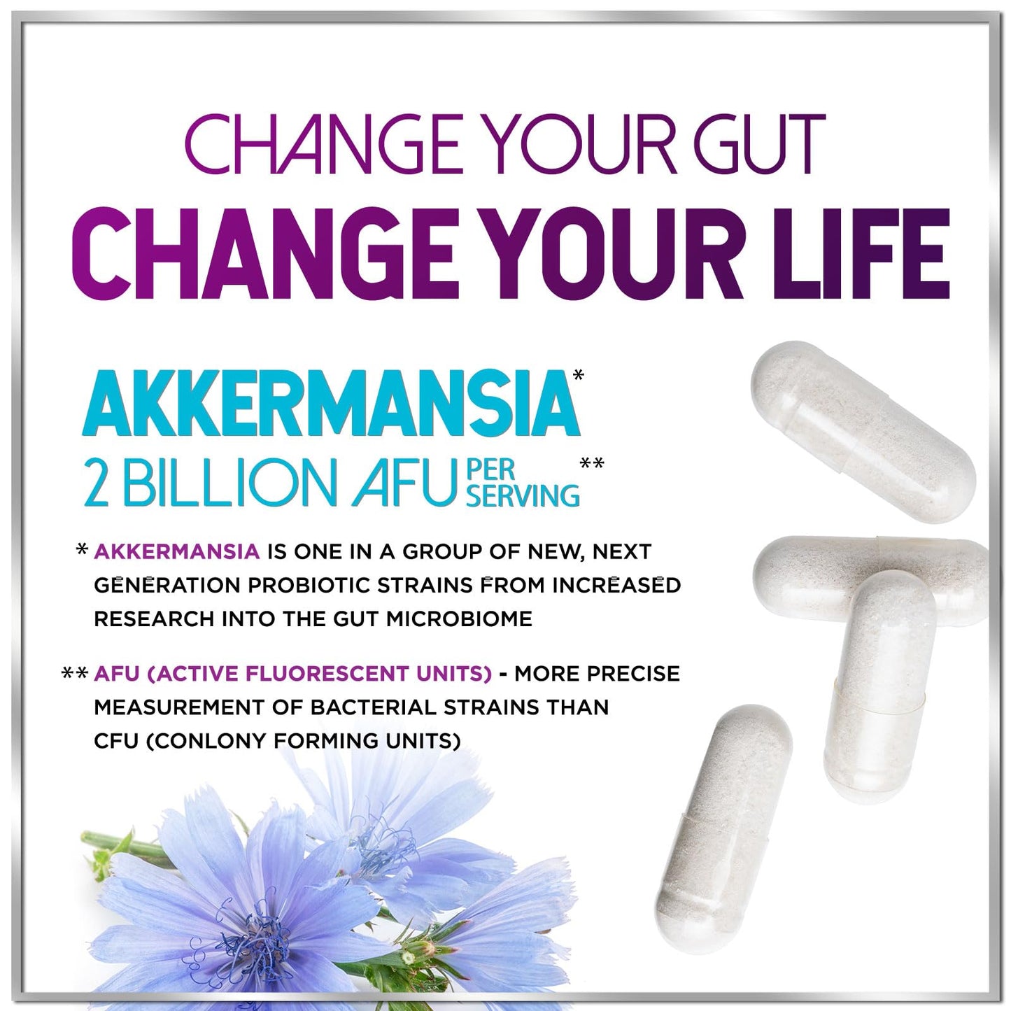 Akkermansia Probiotic - 2 Billion AFU per Serving - Best Strain Production Support with Prebiotic Fiber for Natural Digestive & Gut Health