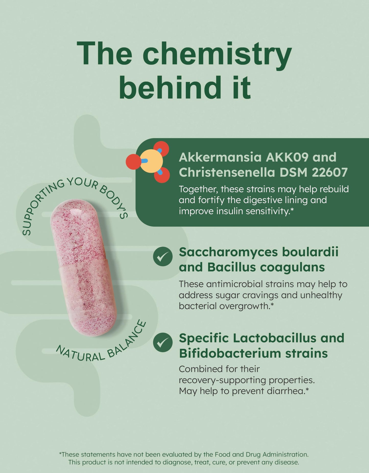 GutRx Balance – Probiotics for Women & Men with Akkermansia Probiotic & Christensenella, Alternative for Gut Health with Lactobacillus Plantarum,