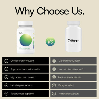 Heylo Multi+ Advanced Multivitamin Supplement – Boosts Energy, Enhances Immune Support, Provides Antioxidant Protection, Promotes Detoxification