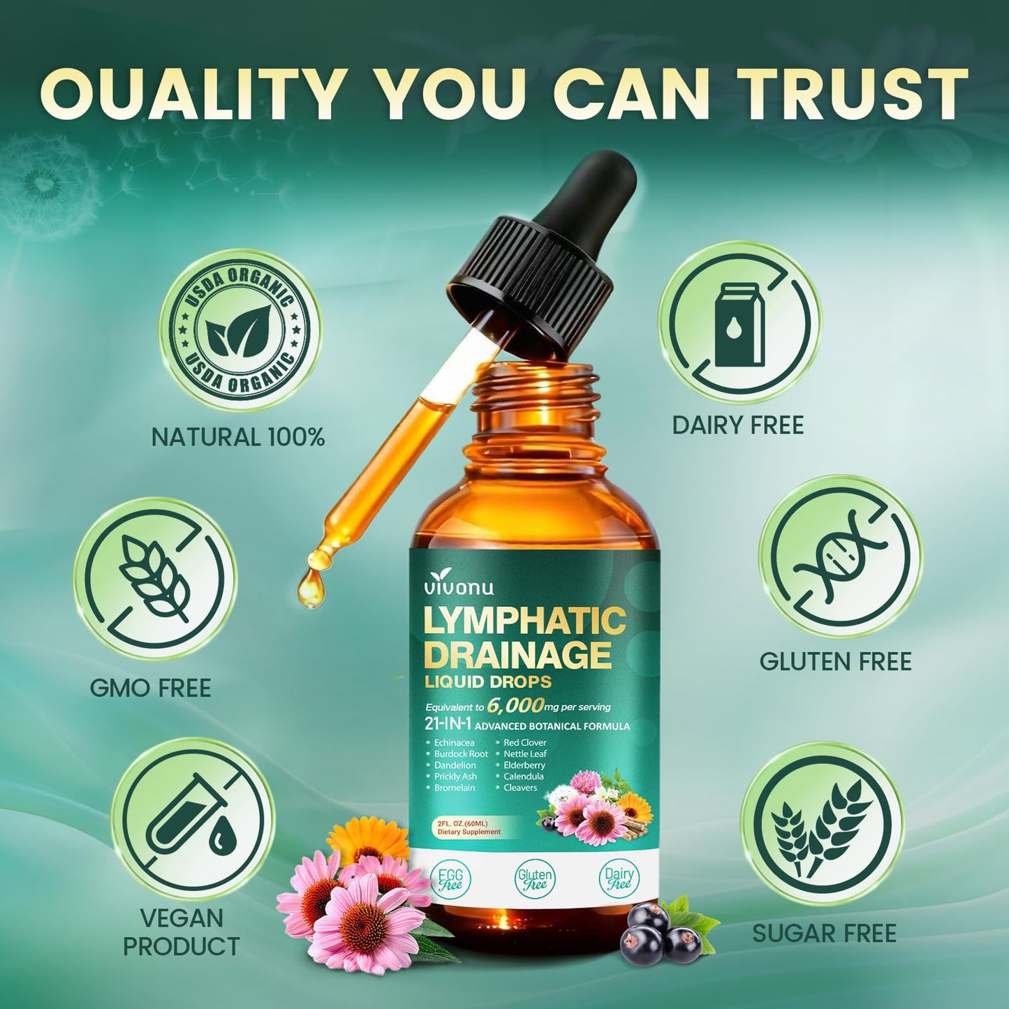 21-in-1 Lymphatic Drainage Drops for Liposomal, Immune & Lymph System Support Supplement for Women & Men with Echinacea, Dandelion, Burdock, Bromelain, Calendula, Turmeric & More, 2 FL OZ VivoNu buy supplements Au
