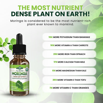 PURA VIDA MORINGA Leaf Extract Liquid Drops - USDA Organic Certified - Highly Purified, Bioavailable & Faster Absorption than Moringa Powder or Capsules