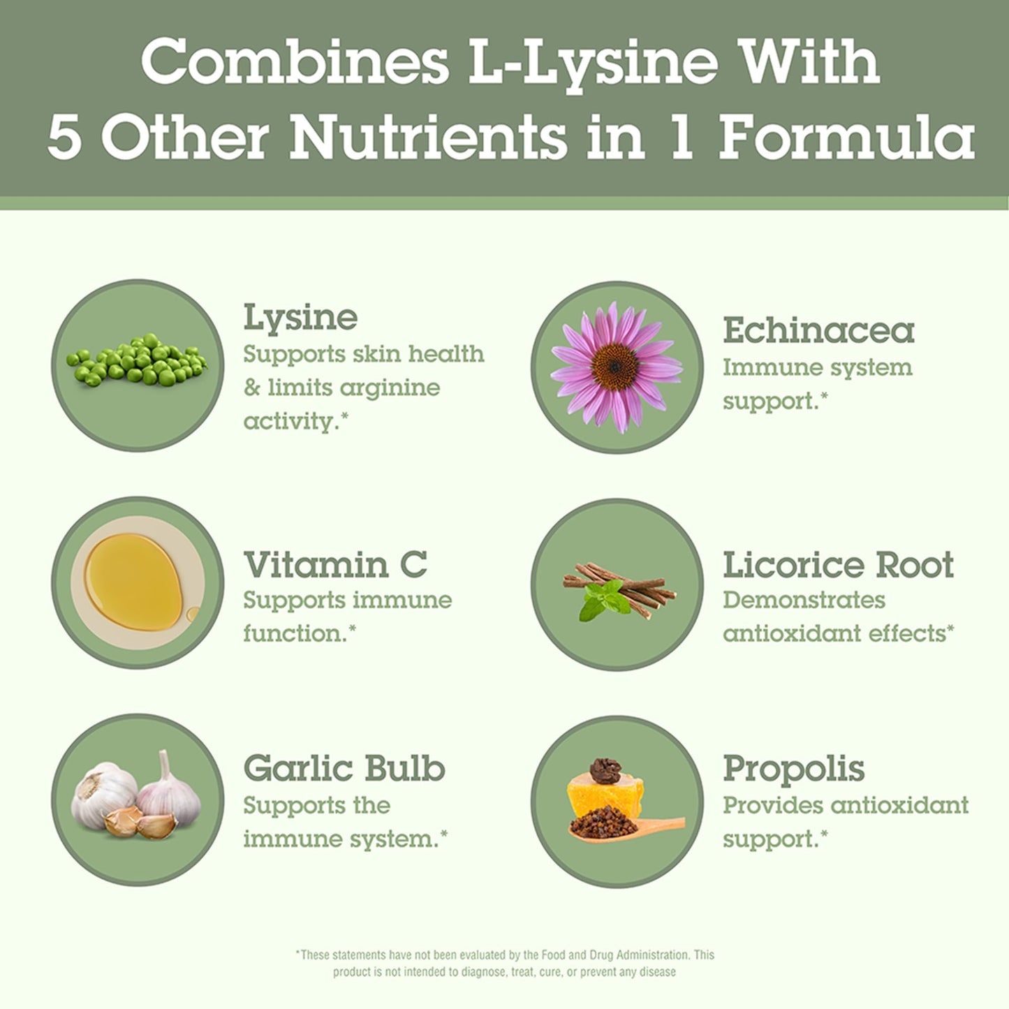 Quantum Health Super Lysine+ / Advanced Formula Lysine+ Immune Support with Vitamin C, Echinacea, Licorice, Propolis, Odorless Garlic