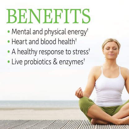 Garden of Life Vitamin B Complex, 120 Vegan Capsules, High Potency Vitamins for Energy & Metabolism with B6, Folate & B12