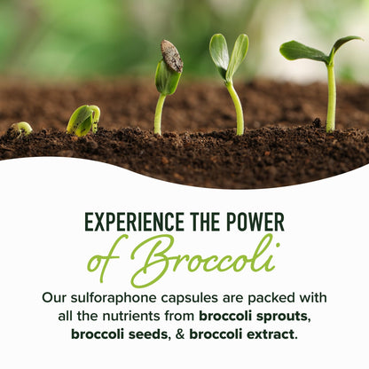 50MG Sulforaphane Supplement from Broccoli Sprouts | NRF2 Activation, Cellular Health & Immune Support | Glucoraphanin, Myrosinase & Antioxidants | Third-Party Tested