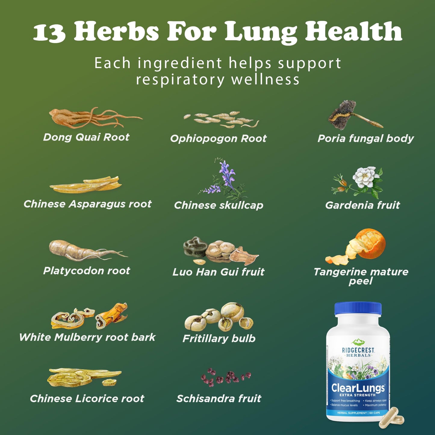 RidgeCrest Herbals ClearLungs Extra Strength, Daily Health Supplement, Natural Lung and Nasal Wellness Formula