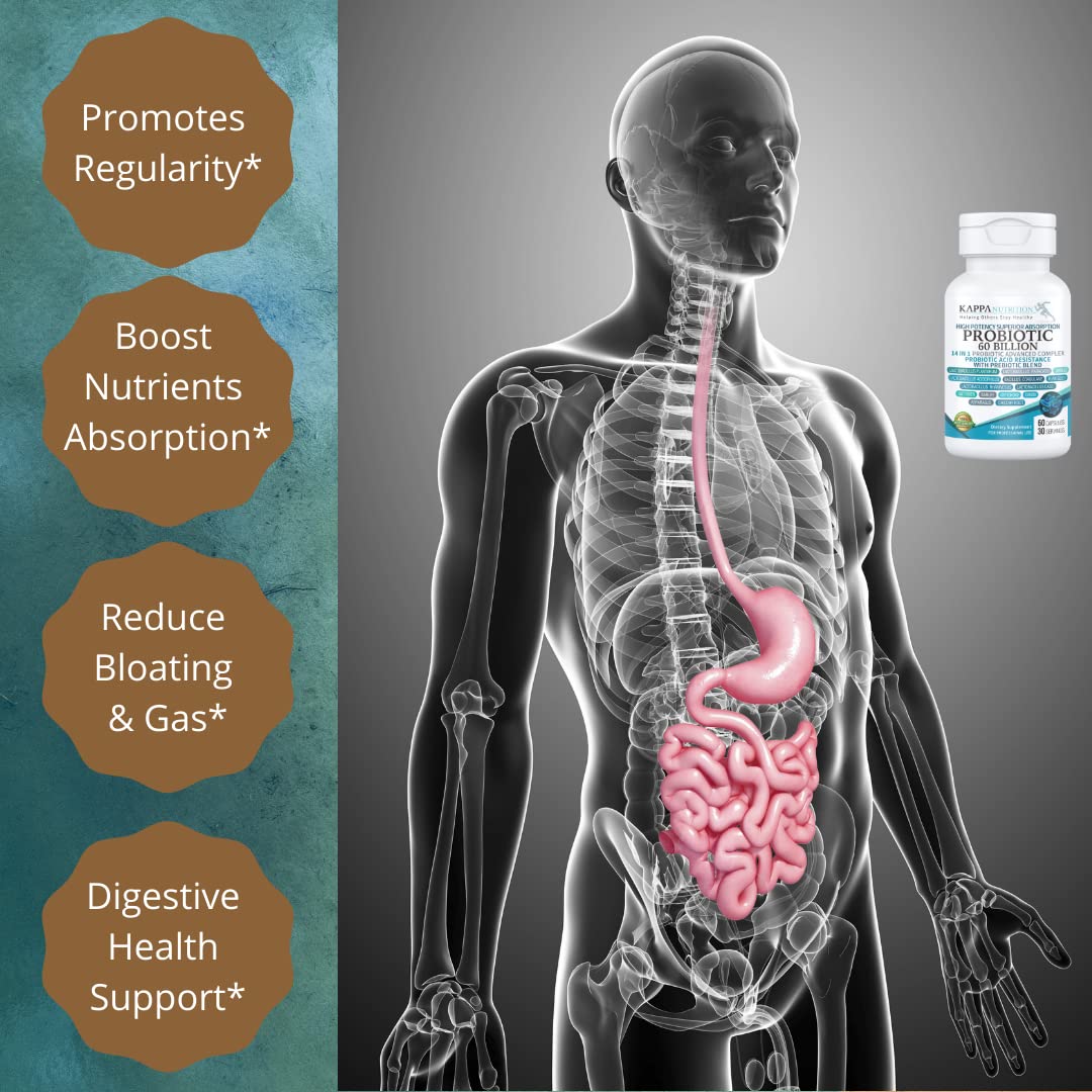 KAPPA NUTRITION Probiotic 60 Billion CFU 14 in 1 Formula with Prebiotics & Acidophilus for Women, Men & Adults, Shelf Stable, Acid Resistant, Natural Supplement 60 Capsules. KAPPA NUTRITIONBuy Supplements Australia