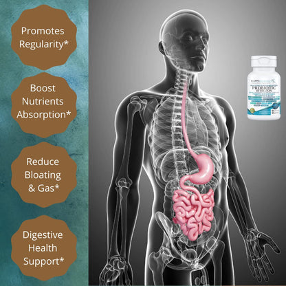 KAPPA NUTRITION Probiotic 60 Billion CFU 14 in 1 Formula with Prebiotics & Acidophilus for Women, Men & Adults, Shelf Stable, Acid Resistant, Natural Supplement 60 Capsules. KAPPA NUTRITIONBuy Supplements Australia