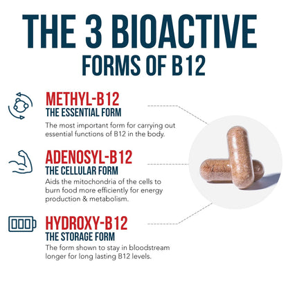 BioActive Vitamin B12 - 5000 mcg, Contains 3 BioActive Forms B12 Plus Methylfolate Cofactor - Methyl B12, Adenosyl B12 & Hydroxy B12 | Supports Energy