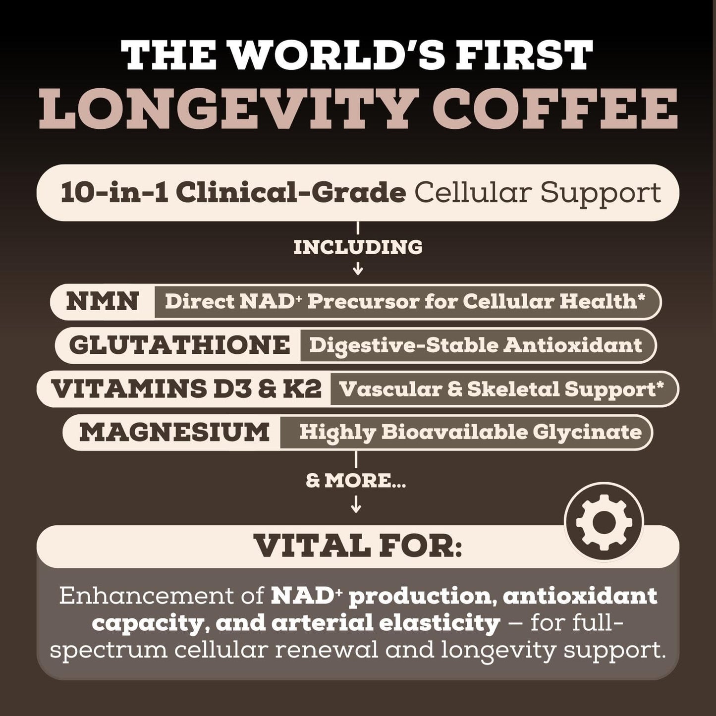 Black Forest Longevity Mix Liquid NAD+ Alternative Mocha Coffee 10-in-1 with NMN 250mg, Glutathione 250mg, TMG, Magnesium Glycinate, Vitamins D3 K2 C B12, High Polyphenol Cocoa, 30 Servings Black ForestBuy Supplements Australia