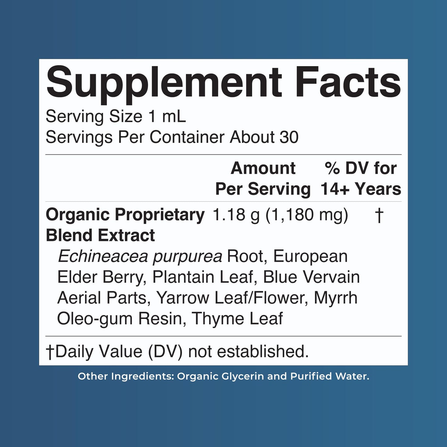 MARYRUTH'S Lymphatic Support Liquid Drops USDA Organic | Herbal Blend with Echinacea & Elderberry | Blue Vervain