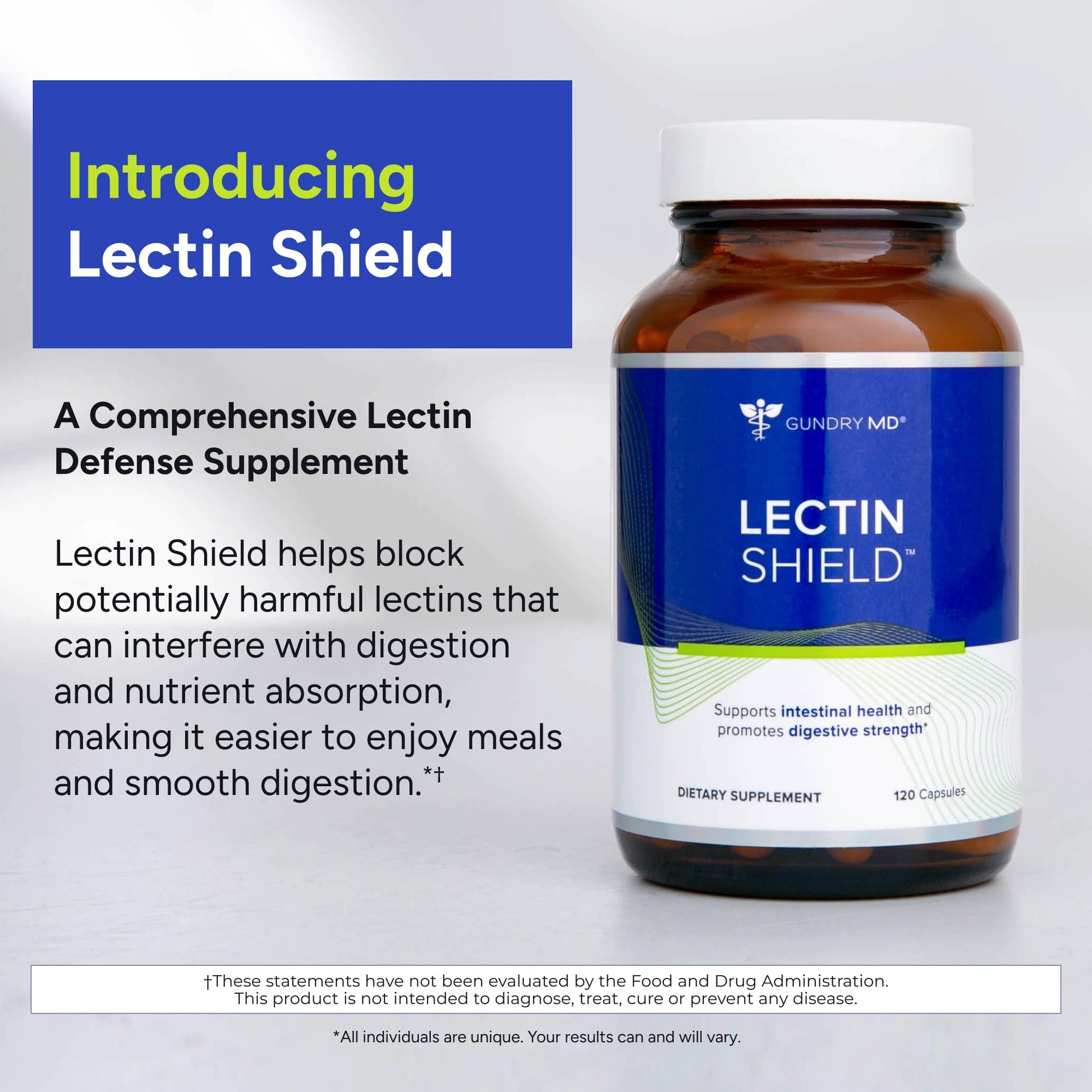 Gundry MD® Lectin Shield, Gut Health and Digestion Supplement, Helps Block Potentially Harmful Lectins, Supports Digestive Comfort, and Intestinal Health, 30 Day Supply Gundry MDBuy Supplements Australia