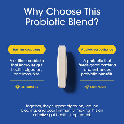 Nutrition Essentials Probiotics for Women and Men - with Lactase Enzyme and Prebiotic Fiber for Digestive Health - 80 Percent + More Potent Supplement