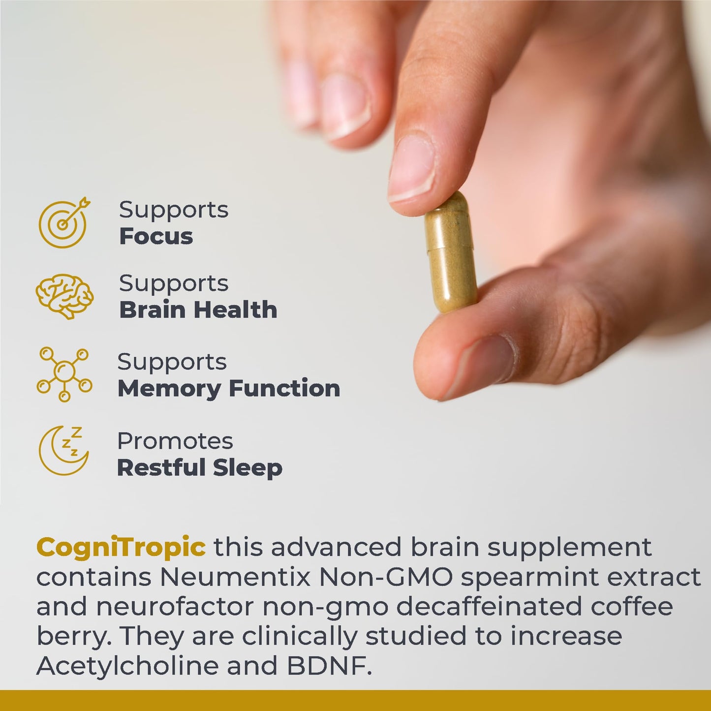 Premier Research Labs Cognitropic - Brain Supplements for Memory and Focus, Focus Supplement, Brain and Memory Power Boost, Clarity Vitamins for Brain, Memory Support - 120 Vegetarian Capsules Premier Research LabsBuy Supplements Australia