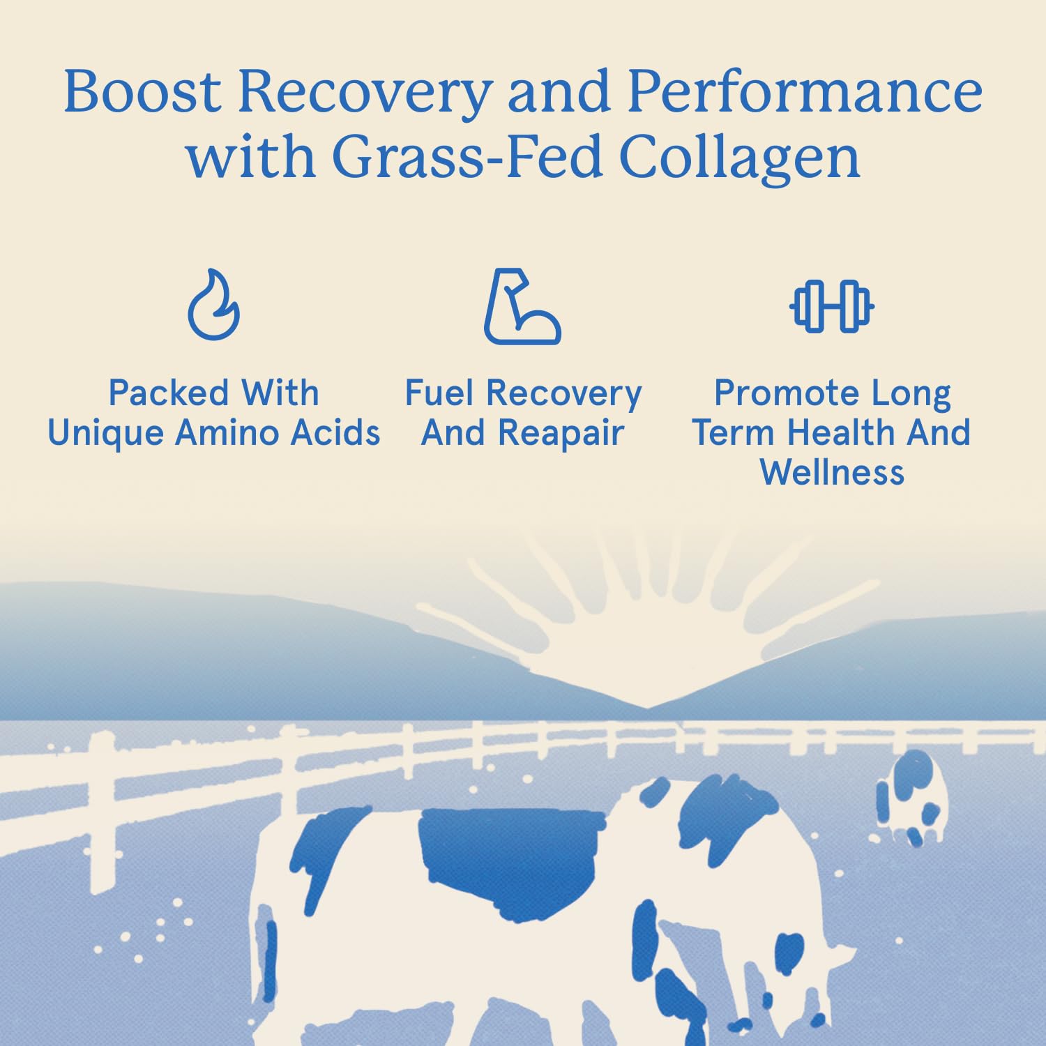 Equip Foods Grass Fed Collagen Powder | Hydrolyzed Bovine Collagen Peptides with Amino Acids | Prime Beef Collagen for Healthy Joints, Skin & Nails | Non-GMO, Paleo Friendly | 30 Servings, Chocolate Equip buy supplements Au