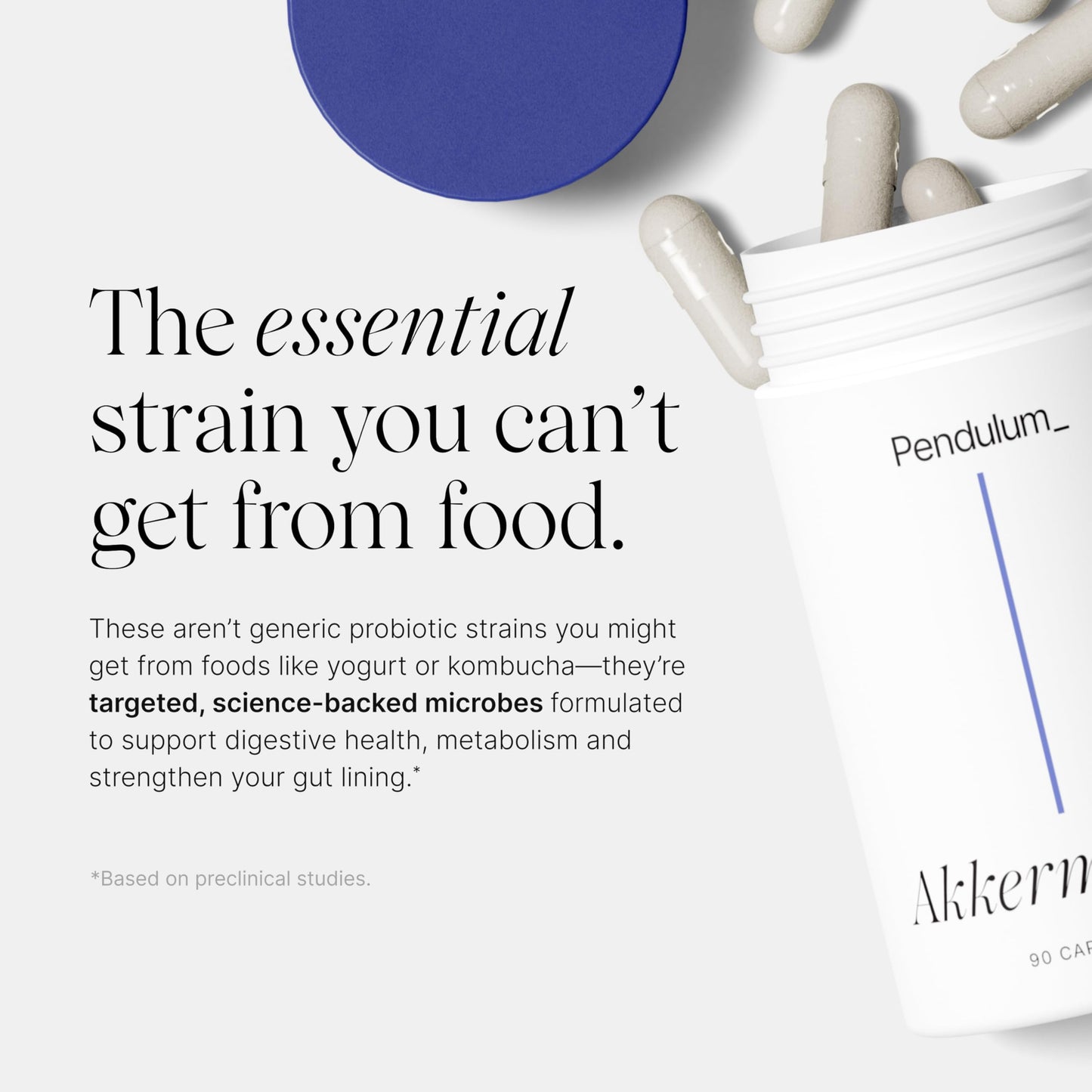 Pendulum Akkermansia Probiotic with Prebiotic Fiber - Delayed Release Capsules, Third-Party Tested, Authentic 100M AFU Live Strain for Gut Health