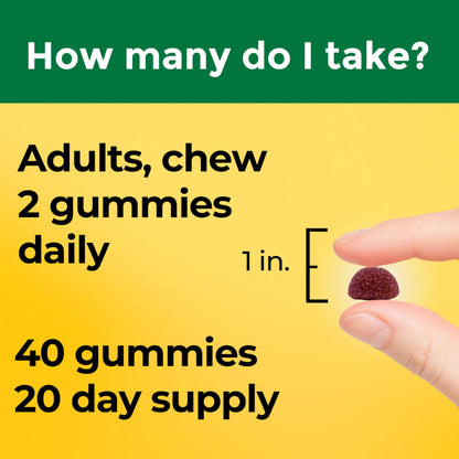 Nature Made High Absorption Magnesium Glycinate Gummies 100 mg per Serving, Muscle, Nerve, Bone and Heart Support, Magnesium Supplement, 40 Magnesium Gummies, 20 Day Supply Nature MadeBuy Supplements Australia